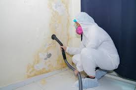 Best Mold Prevention Services  in Cheshire Village, CT